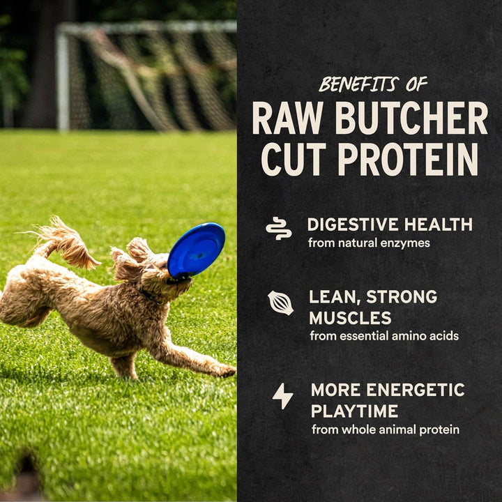 Rabbit Bites Dog Treats, 2 Oz | Freeze-Dried Raw | Single Protein | Premium Quality High Protein Training Treats | Grain Free, Gluten Free, Filler Free