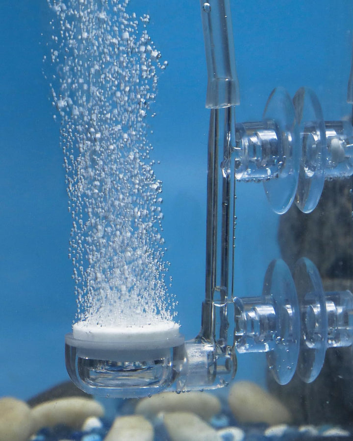 Aquarium Air Stone Disc, 0.9 Inch Tiny Fish Tank Air Stone Kit Ultra-High Dissolved Bubbler Airstone with Accessories for Aquarium Fish Tank and Small Bucket(Pump and Tubing Not Included)