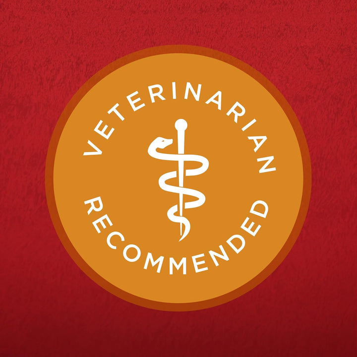 Chicken and Rice Formula Dry Dog Food - 16.5 Lb. Bag