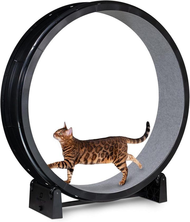 - Cat Exercise Wheel - Gen. 7 - Safe 48" Diameter - Made in the USA - Black Wheel with Gray Felt Traction Pads and Solid Black Inline Wheels