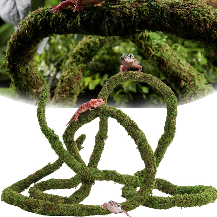 Moss Vine for Reptiles, Bendable Climbing Vines Reptile Tank Accessories, Natural Moss Rope for Leopard Gecko, Lizard, Snake, Chameleon, Frog Terrarium Decor (Jungle Green, 6.5 FT)