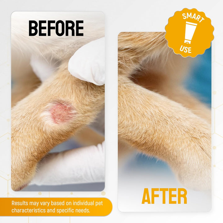 Dog Wound Care with Honey & Colloidal Silver for Scratches & Skin Irritations – Horse & Dog Hot Spot Treatment Gel Works as Honey Rapid Wound Repair – for All Pet Ages & Breeds – 2-Oz Tube