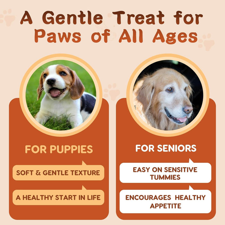 Probiotics for Dogs, Dog Probiotics for Digestive Health, plus Pumpkin and Fish Oil, for Gut & Itchy, 120 Soft Chews