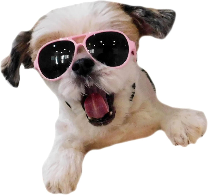 G029 Small Dog Breed up to 15Lbs Cat Pet Aviator Sunglasses Glasses (Black)