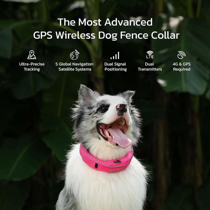 Dog Wireless Fences, Gray the Most Advanced GPS Dog Collar with AI Analysis, Precise Positioning, 5-Day Battery, and IP68 Waterproof, Flexible Virtual Fencing for Medium & Large Dogs