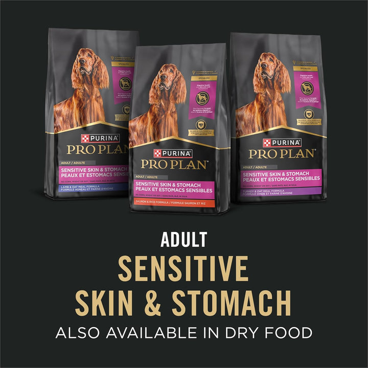 Sensitive Skin and Stomach Dog Food Wet Classic Pate Salmon and Rice Entrée - (Pack of 12) 13 Oz. Cans