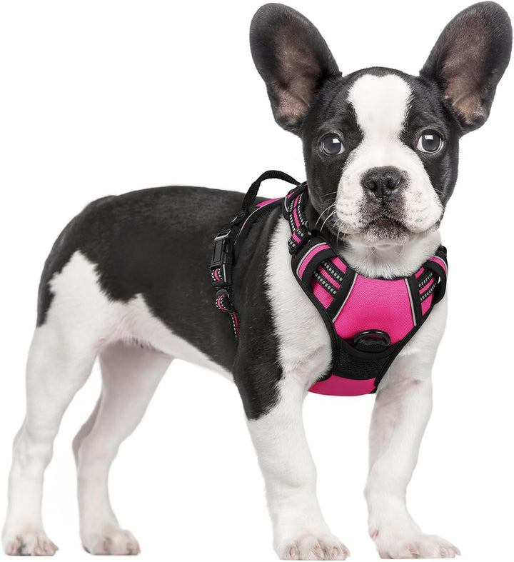 Dog Harness No Pull with 2 Leash Clips, Adjustable Soft Padded, Reflective Oxford No Choke Pet Vest with Easy Control Handle for Large Dogs, Black, L