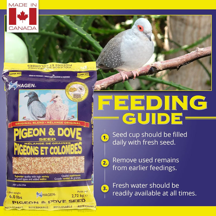 Pigeon & Dove Seed, Original Formula Bird Food, 6 Lb Bag – Nutritionally Complete Seed Mix with Vitamins & Minerals – Wild & Captive Bird Diet – Insect-Resistant Air-Tight Packaging