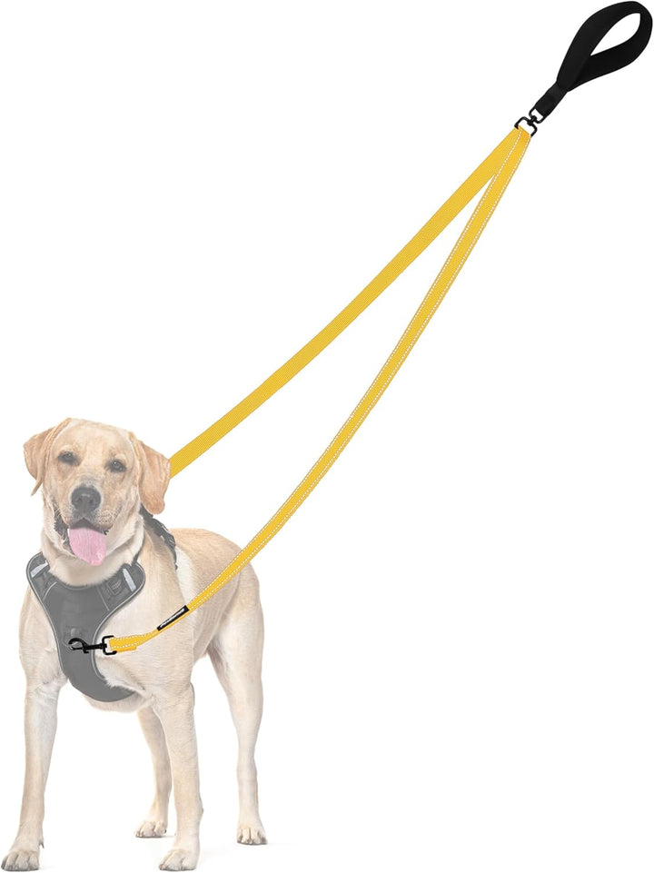 Two Point Control Dog Leash, Works with No Pull Harnesses, No Tangle Training Leashes, Soft Padded and Reflective Walking Lead, Converts to Single Lead for Medium Large Dogs (Black)