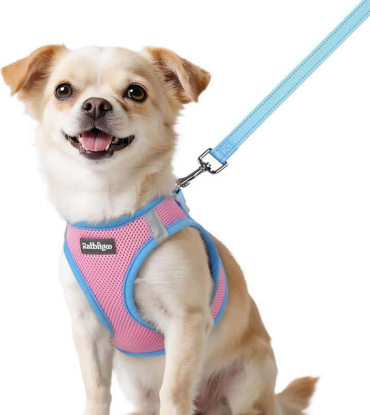 Dog Harness Small Sized and Leash Set, Step-In Breathable Pet Harness, Soft Walking Reflective Puppy Vest for Small Dogs, Black & Rose Red, S