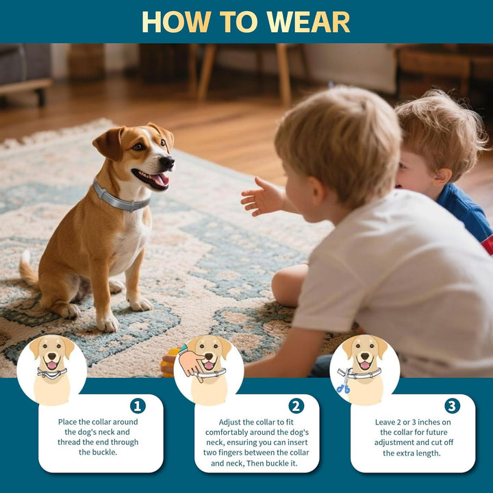 Flea and Tick Collar for Dogs – 12-Month Protection – Adjustable & Waterproof – Safe, Long-Lasting Repellent for Fleas, Ticks, Lice & Mosquitoes – Fits Small, Medium & Large Dogs