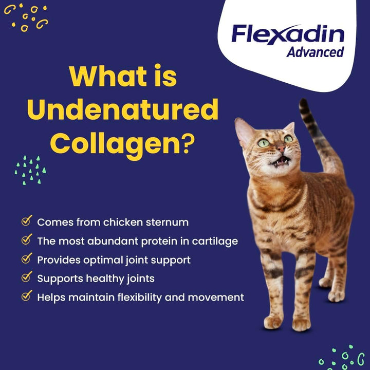 Flexadin Advanced Hip and Joint Supplement with Undenatured Collagen for Dogs, One Chew a Day Hip and Joint Support Chew for Dogs and Cats, Clinically Proven Vet-Approved Formula, 60 Chews