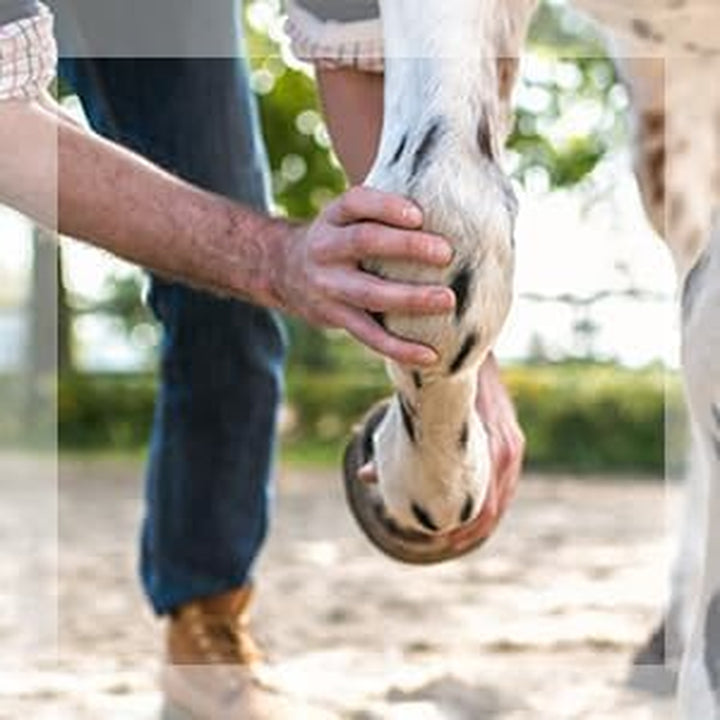 Veterinary Liniment Gel