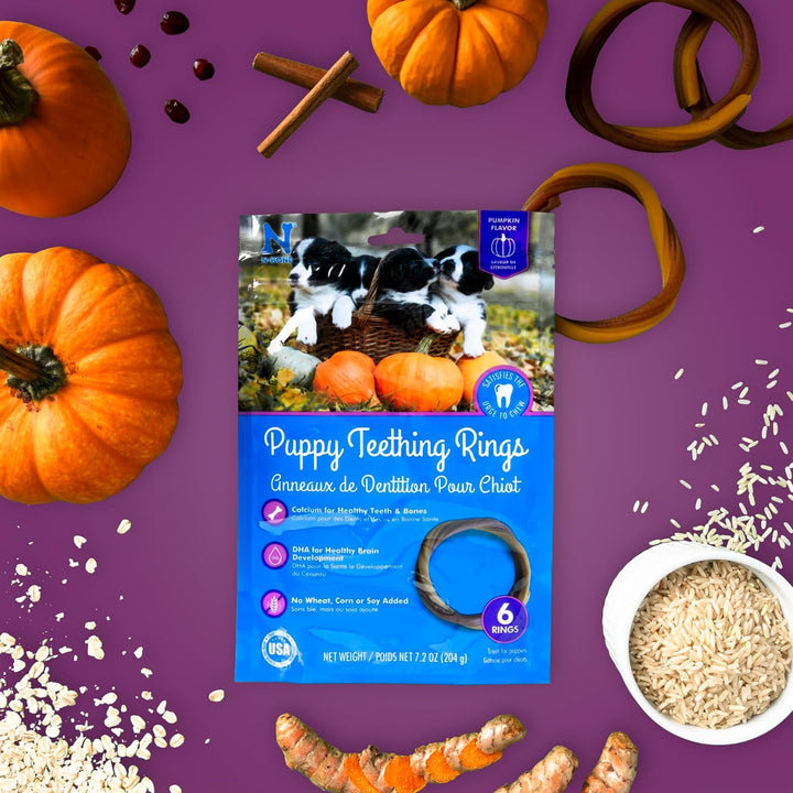 Puppy Teething Ring Pumpkin Flavor 7.2 OZ/(6 Pack)