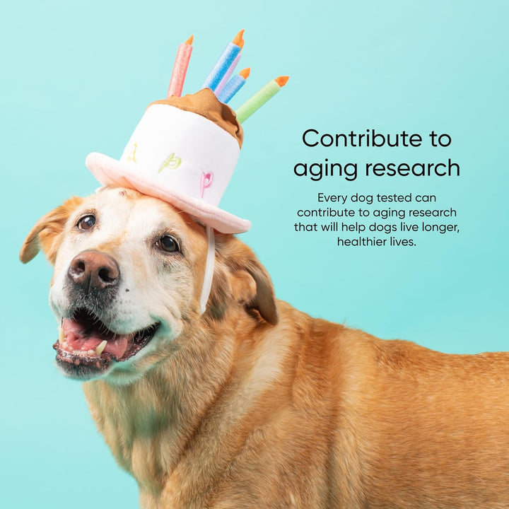 Dog Age Test Kit - Estimates Age and Birthday - DNA Methylation - Best for Dogs past Puppy Stage - Includes Life Stage Care Tips - Great for Rescue Dogs