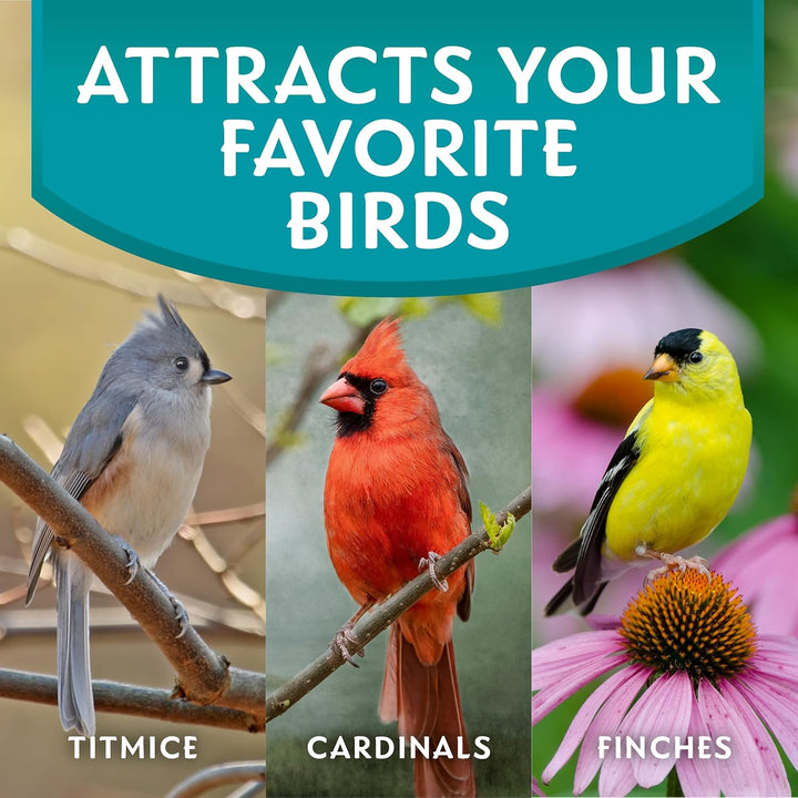 Clean & Free Shell Free Wild Bird Food, Premium No Mess Bird Seed for outside Feeders, 10-Pound Bag