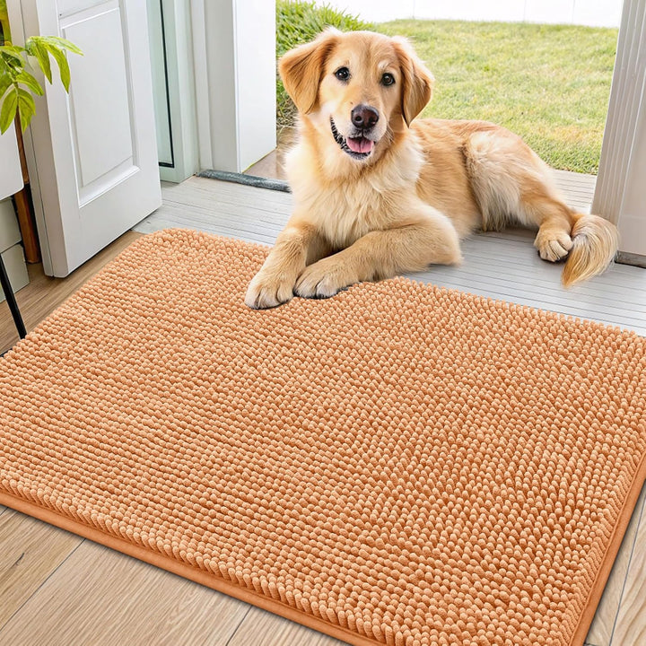 Dog Door Mat for Muddy Paws 30X20, Absorbs Moisture and Dirt Doormat, Non-Slip Washable Quick Dry Chenille Front Door Mat Indoor Entrance, Entryway Carpet for inside Floor, Grey