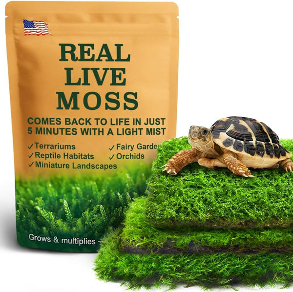 Live Moss Variety Pack – 3-Pack Mixed Mosses (Each 3.5" X 7") – Real Sheet Moss for Terrariums, Bonsai, Reptile Tanks, Succulents & DIY Plant Crafts, Living Moss for Terrarium, Indoor Planters