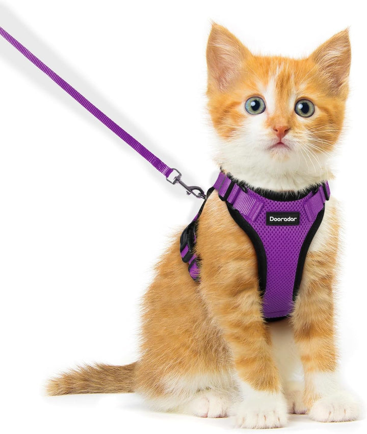Cat Harness and Leash Set, Escape Proof Safe Adjustable Kitten Vest Harnesses for Walking, Easy Control Soft Breathable Mesh Jacket with Reflective Strips for Cats, Pink, XS