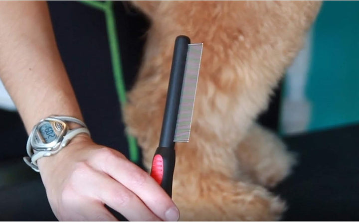 Paw Brothers Flea Comb for Small and Large Dogs and Cats with Handle, Professional Dog Grooming Kit and Supplies, Puppy Essentials, Black and Red, 8.8 Inches