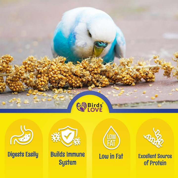 Millet Tips & Tails for Birds - Parakeets, Cockatiels, Lovebirds, Finches, Budgies, Canaries, Cockatoos - Natural & Healthy Millet for Birds - Parakeet Food & Treats for All Parrots, 1Lb