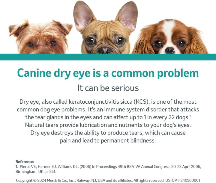 Ophthalmic Ointment, 0.2% Cyclosporine, for Dogs, 3.5Gm