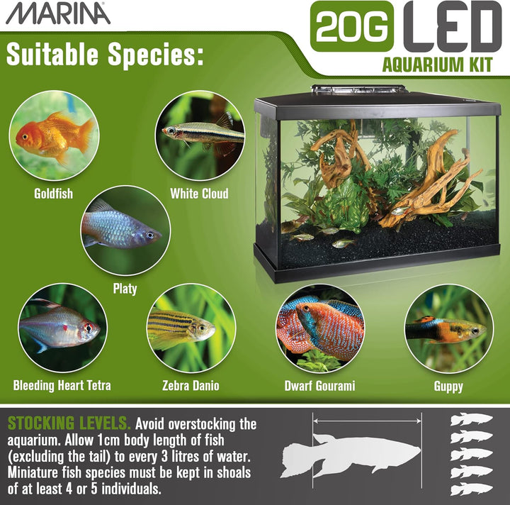 Aquarium Kit - 20 Gallon Fish Tank - LED