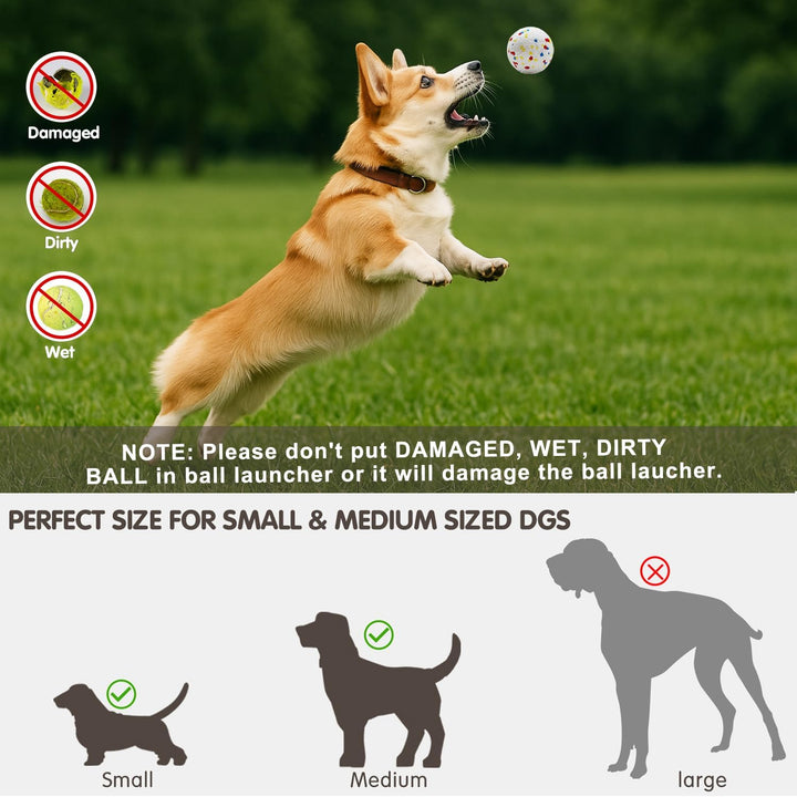 Automatic Ball Launcher for Dogs with 6 Balls