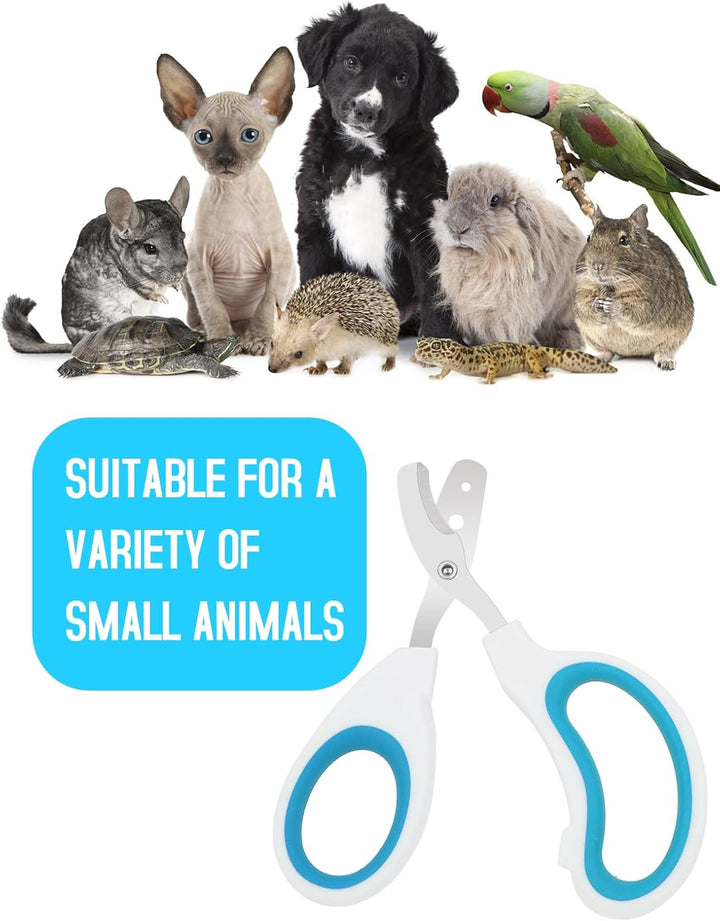 Stainless Steel Bearded Dragon Nail Clippers,Lizard Nail Clippers,Bearded Dragon Supplies,Bearded Dragon Nail Scissors for Small Reptiles,Turtle,Chameleon,Iguana，Hedgehog（Blue）