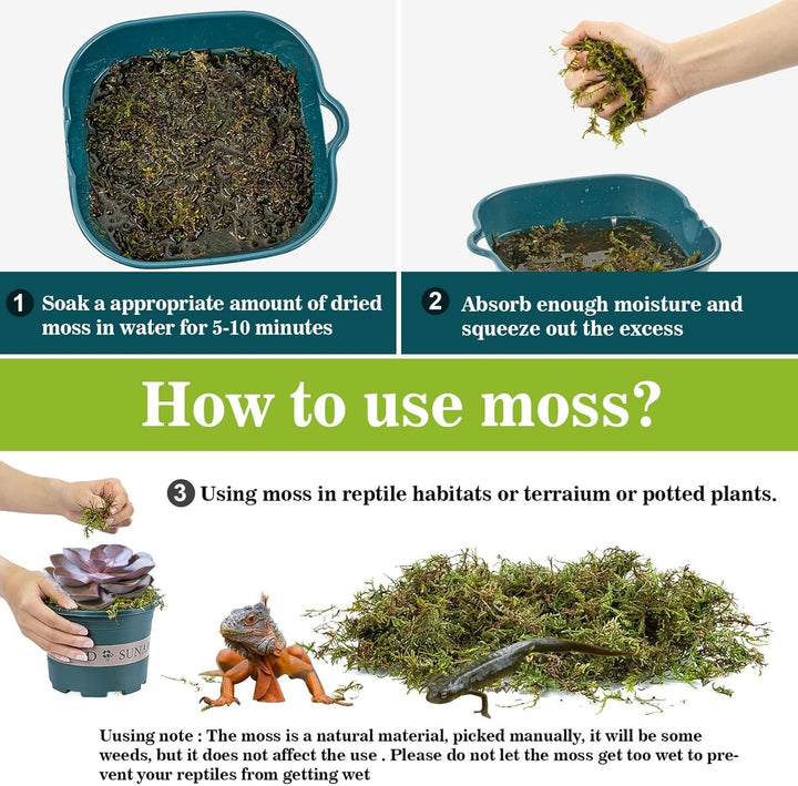 Sphagnum Moss for Reptiles - Terrarium Reptiles Moss Green Dried Peat Moss Habitat Bedding Moss for Snakes Turtle Frog Gecko and Other Reptiles Substrate (5, Ounces)