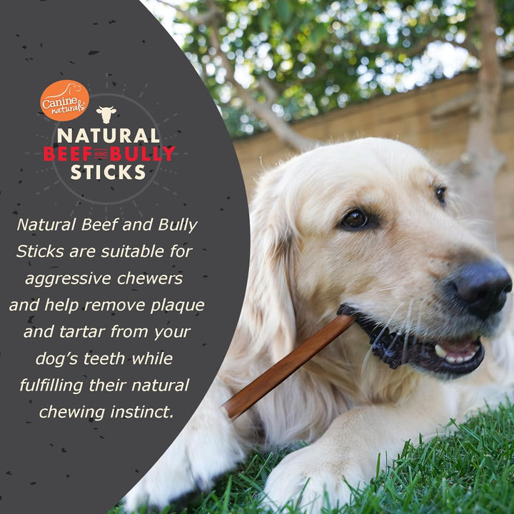 | Natural Beef & Bully Sticks | Long-Lasting, Odor Free, High Protein Chews Made with 100% Real Bully | 4 Count Medium Sticks