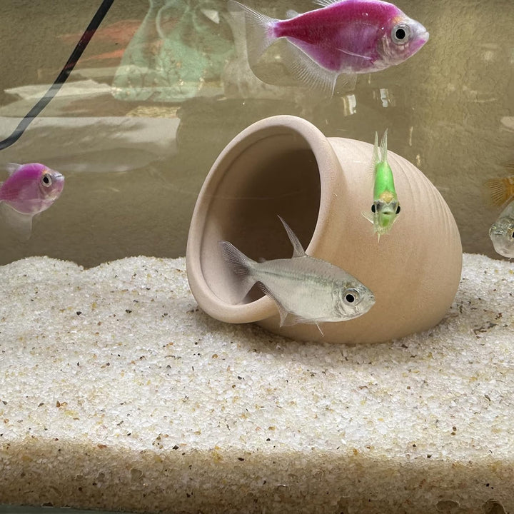 Aquarium Sand, 2Lbs Beige Fish Tank Sand, Aquarium Gravel Substrate for Aquascaping, Vivariums, Terrariums, Plants and Crafts