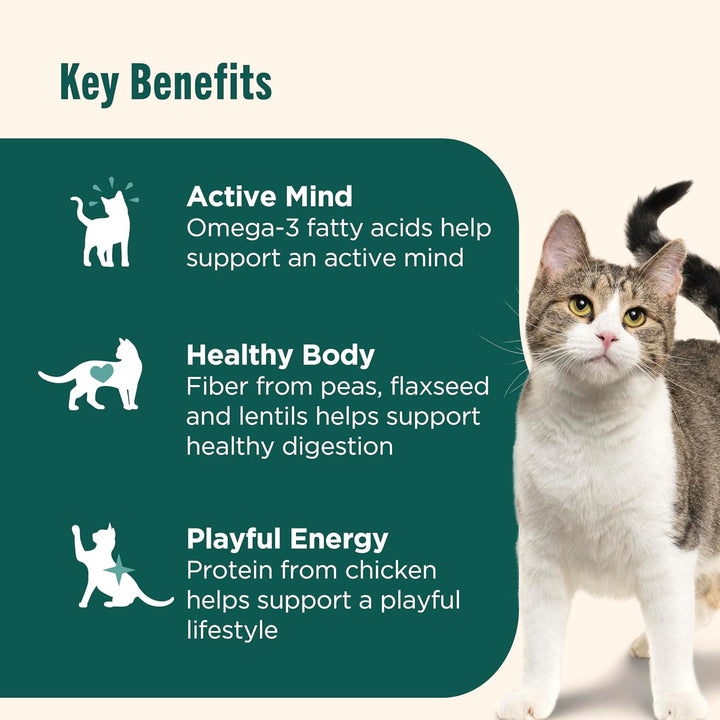 Indoor Complete Chicken, Lentils & Salmon Recipe Dry Cat Food, 6 Lb. Bag, Packaging May Vary (Rachael Ray)