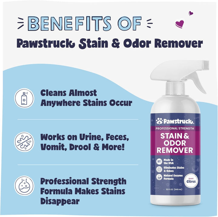 Professional Strength Pet Stain & Odor Remover - Natural Enzyme Cleaning Solution for Dogs & Cats - Safe and Effective Smell Eliminator - 32 Oz - Packaging May Vary