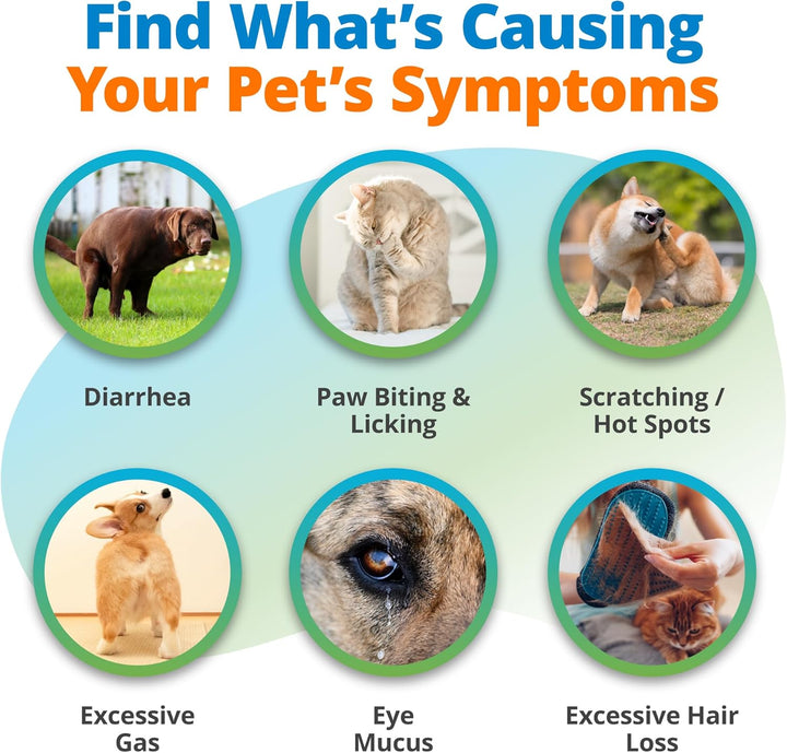 Pet Food Intolerance Test, at Home Sensitivity Test for Dogs & Cats, 575 Items Tested, Hair Analysis, Accurate for All Ages & Breeds, Pet Gut Health, Results in 4 Days