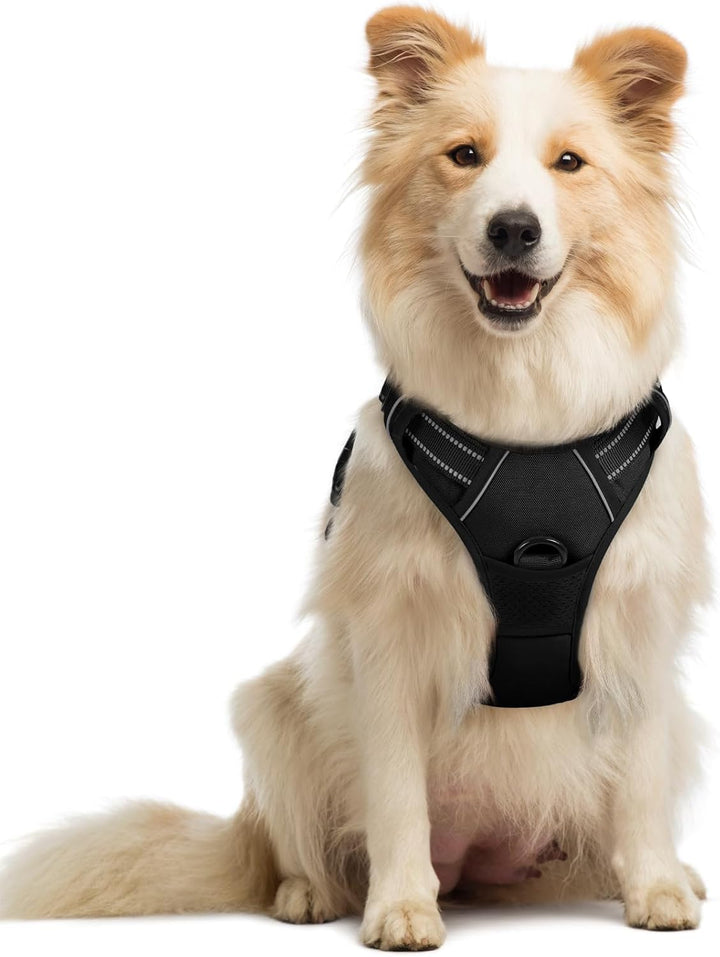 Dog Harness No Pull with 2 Leash Clips, Adjustable Soft Padded, Reflective Oxford No Choke Pet Vest with Easy Control Handle for Large Dogs, Black, L
