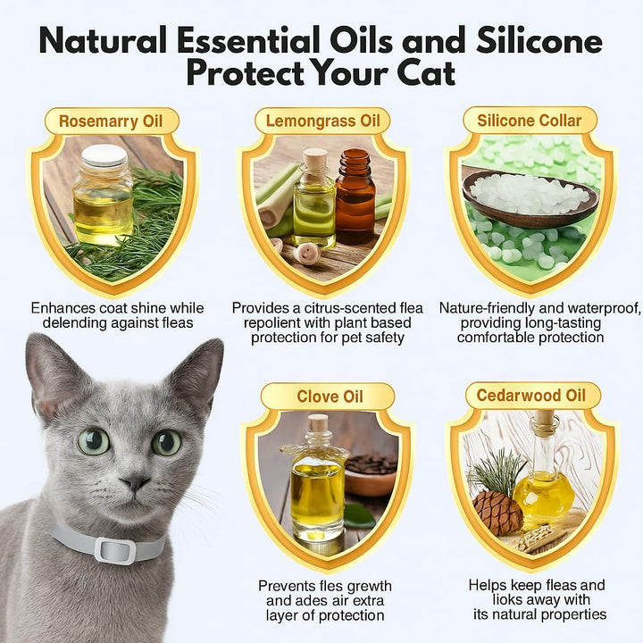 Natural Flea and Tick Collar for Cats – 4 Pack, 8 Months Long-Lasting Protection, Waterproof, Adjustable Size for Kittens and Adult Cats