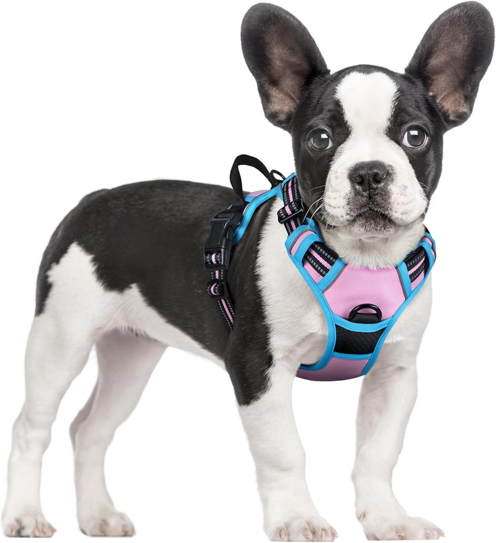Dog Harness No Pull with 2 Leash Clips, Adjustable Soft Padded, Reflective Oxford No Choke Pet Vest with Easy Control Handle for Large Dogs, Black, L