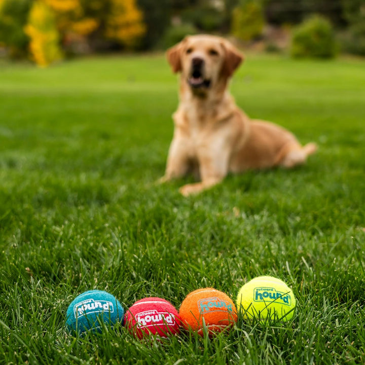 Squeaker Ballz 4-Pack Tennis Ball Dog Toys with Squeaker, Interactive Fetch Play for Pets under 50 Lbs, Training Balls for Indoor & Outdoor Exercise, Medium, 2.5-Inch