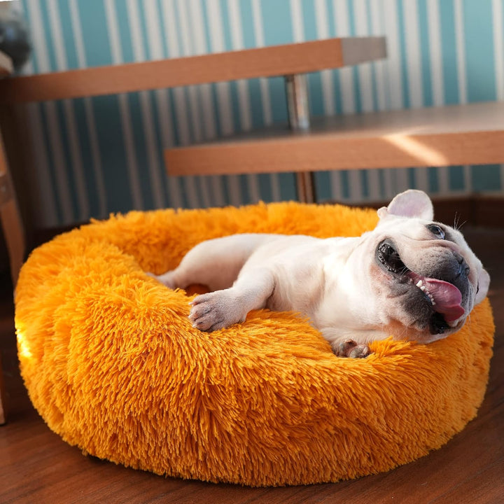 Small Calming Dogs Bed for Small Dogs Anti-Anxiety Machine Washable Fluffy Luxury Anti-Slip Waterproof Mute Base Warming Cozy Soft Pet Puppy round Bed
