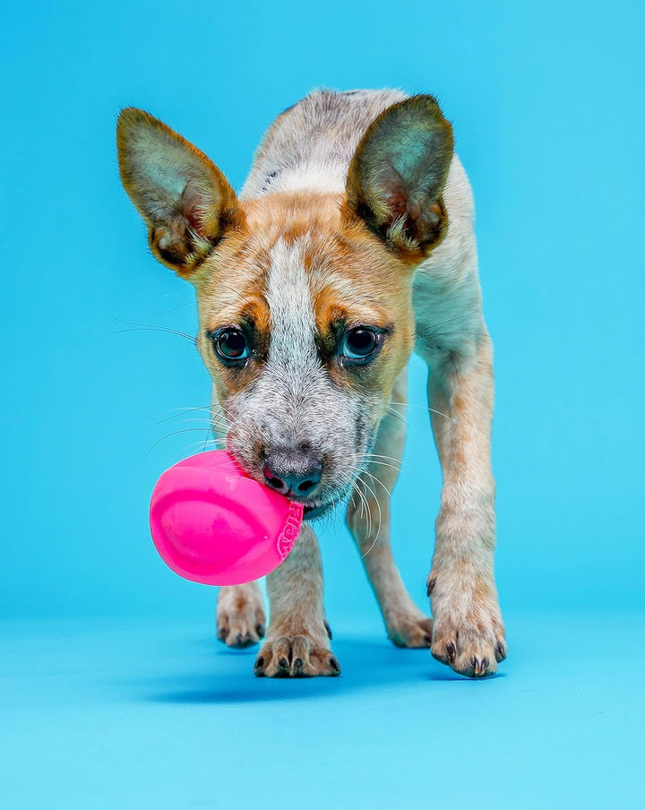 Duraplay Ball Squeaky Latex Dog Toy, Medium 3 Pack