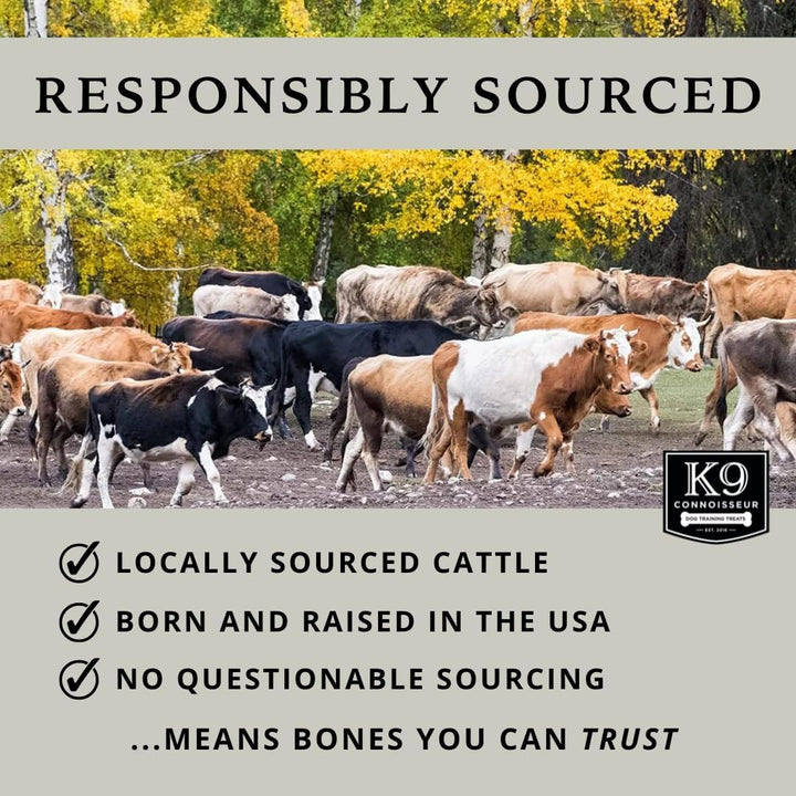 Beef Marrow Large Dog Bones Long Lasting for Aggressive Chewers - USA Made Single Ingredient Champ Bones for Large Dogs over 50 Pounds - 3 Pack