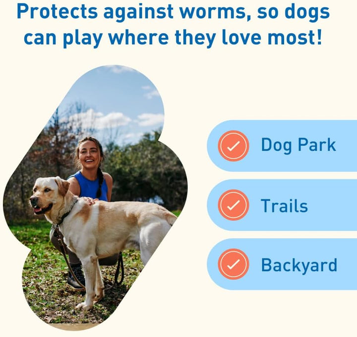 plus Prevention for Heartworm + 4 Other Worms for Dogs 50.1-100 Lbs. | 6 Chews, 6-Month Supply