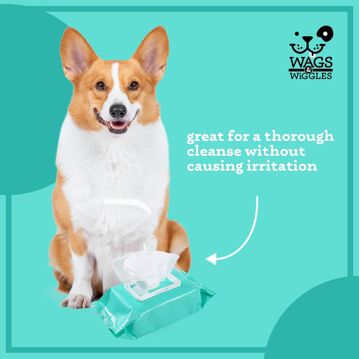 Cleanse Hypoallergenic Wipes 100Ct | Hypoallergenic Dog Wips 100 Count Package, Fragrance Free | Waterless Bathing to Keep Pets with Sensitive Skin Clean (FF22031)