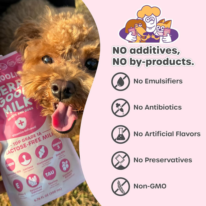 Berry Good Milk – Lactose-Free, Vitamin-Enriched Drink for Cats & Dogs | Supports Urinary Health, Digestion & Joints | Free from Grains, Gluten and Antibiotics