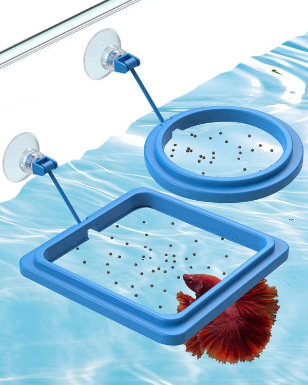 2 Pcs Fish Feeding Ring for Aquarium – round and Square Floating Food Feeder with Suction Cup for Betta, Goldfish, Guppy, Turtle & Small Fish