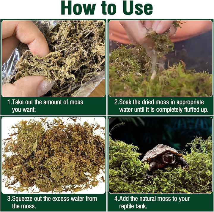 Natural Peat Moss Reptile Moss, Reptile Moss, Ideal Reptile Moss for Box Turtles, Hermit Crabs, Leopard Geckos, Snakes and Enclosures 7 OZ