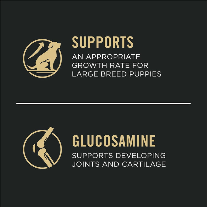 Large Breed Dry Puppy Food, Chicken and Rice Formula - 34 Lb. Bag