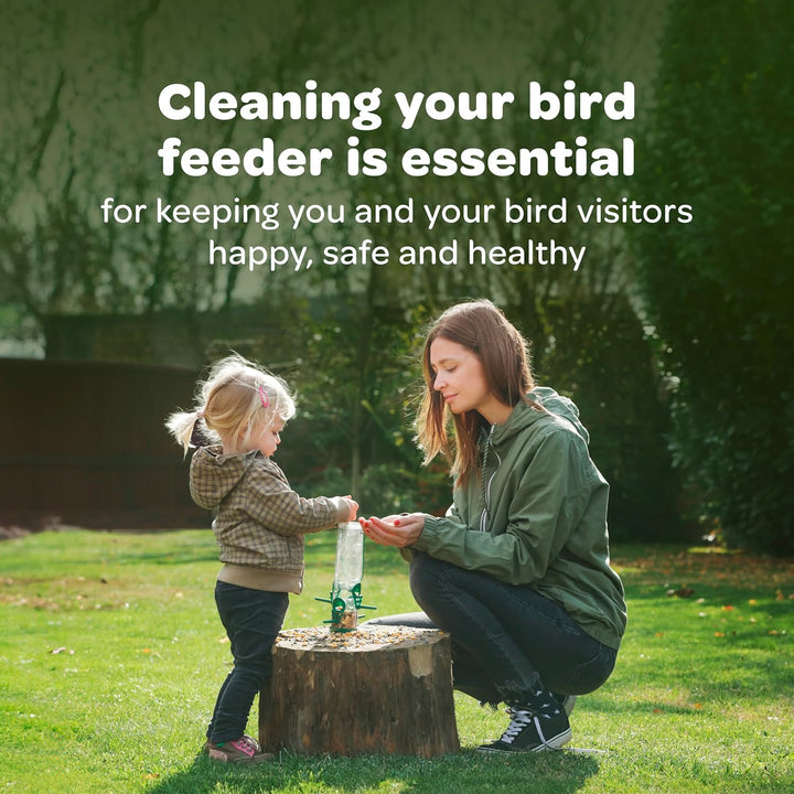 Striped Sunflower Seeds for Blue Jays, Woodpeckers, Finches & Other Wild Birds, 5 Pounds