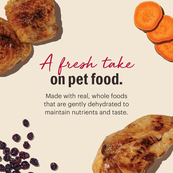 Dehydrated Grain Free Chicken Cat Food 4 Pound (Pack of 1)